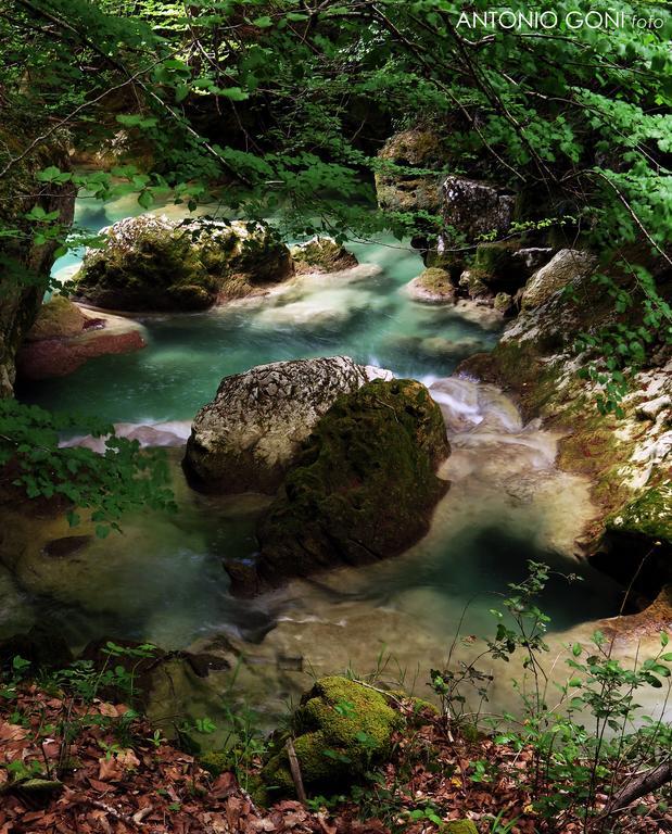 Nekasenea II Villa Garisoain Buitenkant foto